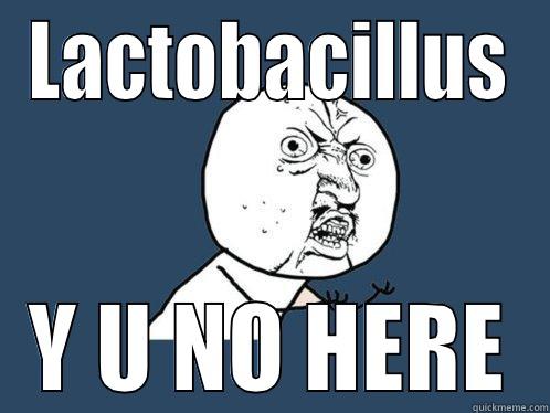 LACTOBACILLUS Y U NO HERE Y U No