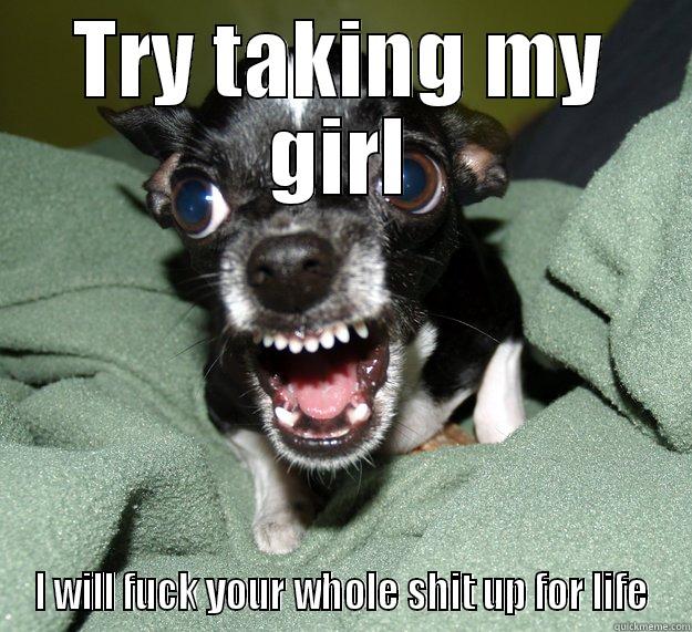 TRY TAKING MY GIRL I WILL FUCK YOUR WHOLE SHIT UP FOR LIFE Chihuahua Logic