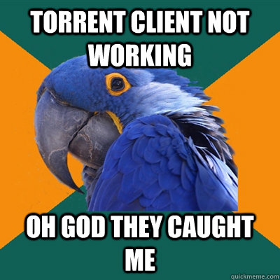 torrent client not working oh god they caught me  Paranoid Parrot