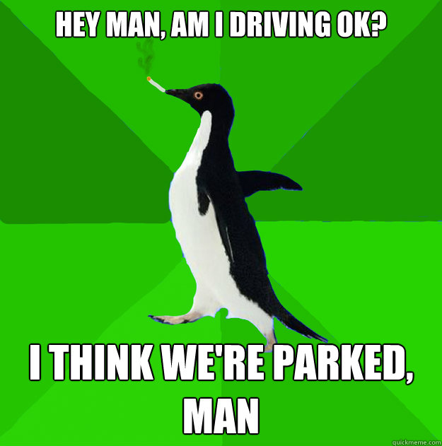 hey man, am i driving ok? i think we're parked, man  Stoner Penguin