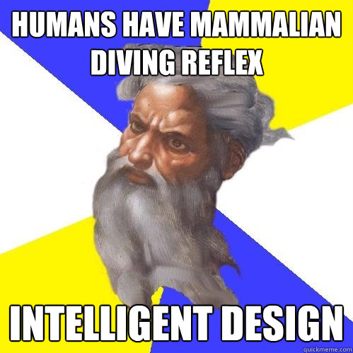 Humans have mammalian diving reflex Intelligent Design  Advice God