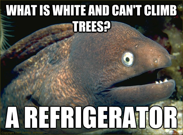 What is white and can't climb trees? A Refrigerator   Bad Joke Eel