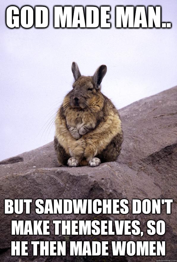 God made man..  But sandwiches don't make themselves, so he then made women  Wise Wondering Viscacha
