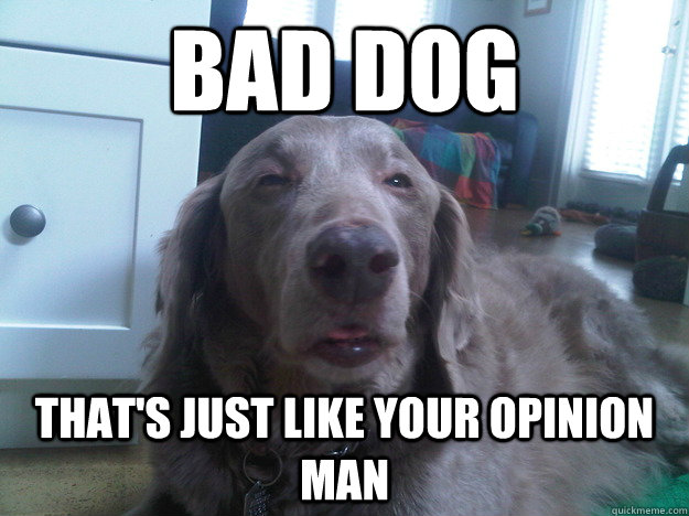 Bad dog that's just like your opinion man  10 Dog