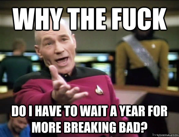 Why the fuck Do I have to wait a year for more breaking bad?  Annoyed Picard HD