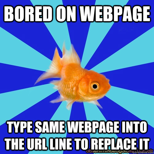 BORED ON WEBPAGE TYPE SAME WEBPAGE INTO THE URL LINE TO REPLACE IT - BORED ON WEBPAGE TYPE SAME WEBPAGE INTO THE URL LINE TO REPLACE IT  Absentminded Goldfish