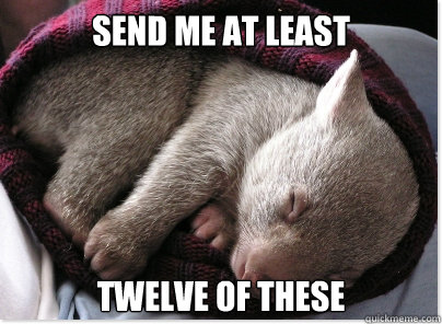 send me at least twelve of these - send me at least twelve of these  Misc