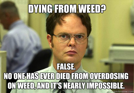 Dying From Weed? False. 
No one has ever died from overdosing on weed, and it's nearly impossible.  Dwight