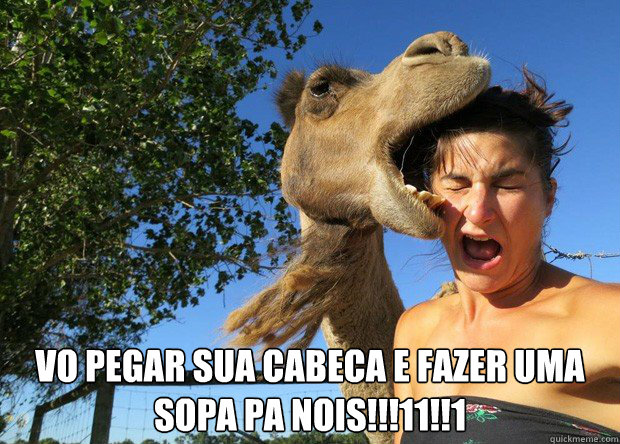 vo pegar sua cabeca e fazer uma SOPA PA NOIS!!!11!!1 - vo pegar sua cabeca e fazer uma SOPA PA NOIS!!!11!!1  Camelo Sopa