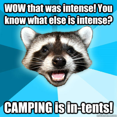 WOW that was intense! You know what else is intense? CAMPING is in-tents! - WOW that was intense! You know what else is intense? CAMPING is in-tents!  Lame Pun Coon