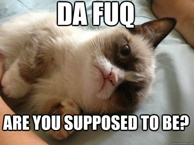 Da fuq are you supposed to be? - Da fuq are you supposed to be?  Confused Grumpy Cat