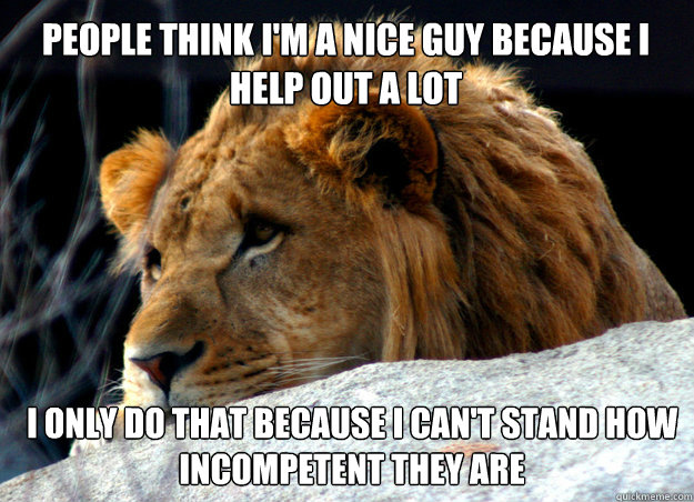 PEOPLE THINK I'M A NICE guy BECAUSE I HELP OUT A LOT I ONLY DO THAT BECAUSE I CAN'T STAND HOW INCOMPETENT THEY ARE  