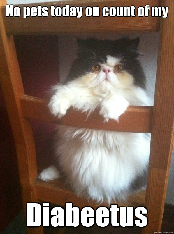 No pets today on count of my Diabeetus - No pets today on count of my Diabeetus  Misc