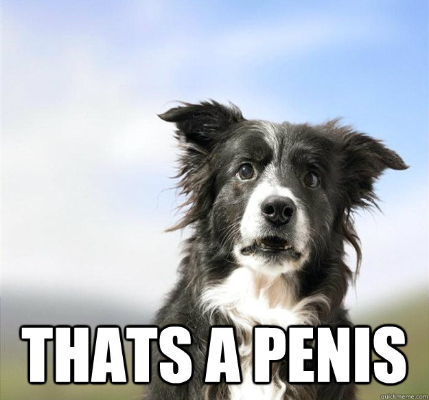  Thats a penis -  Thats a penis  Misc
