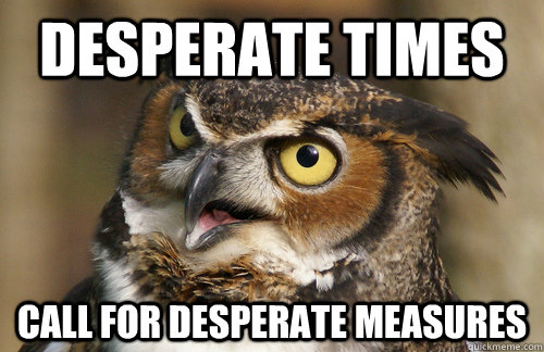 desperate times call for desperate measures  Angry Owl