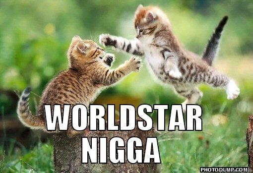  WORLDSTAR NIGGA  Misc