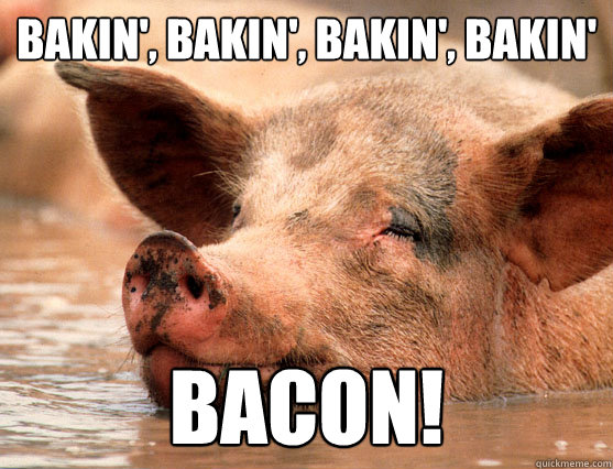 Bakin', bakin', bakin', bakin' Bacon!  Stoner Pig