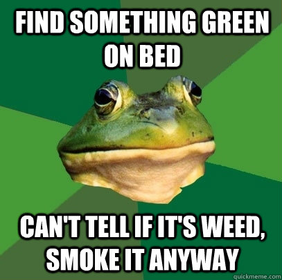 Find something green on bed Can't tell if it's weed, smoke it anyway  Foul Bachelor Frog