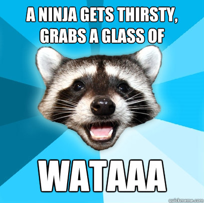 A ninja gets thirsty, grabs a glass of  WATAAA  Lame Pun Coon
