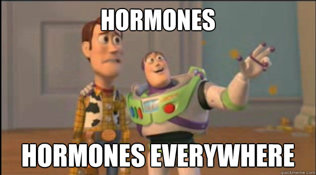 Hormones Hormones everywhere - Hormones Hormones everywhere  Misc