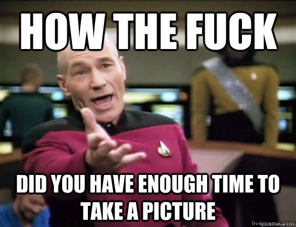 how the fuck did you have enough time to take a picture  Annoyed Picard HD