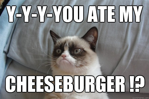 y-y-y-you ATE MY CHEESE CHEESEBURGER !? - y-y-y-you ATE MY CHEESE CHEESEBURGER !?  GrumpyCatOL