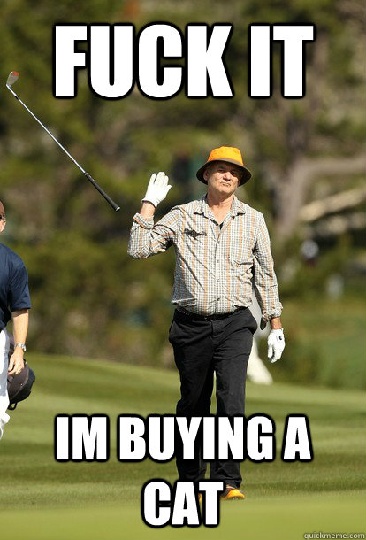 fuck it IM BUYING A CAT  fuck it bill murray