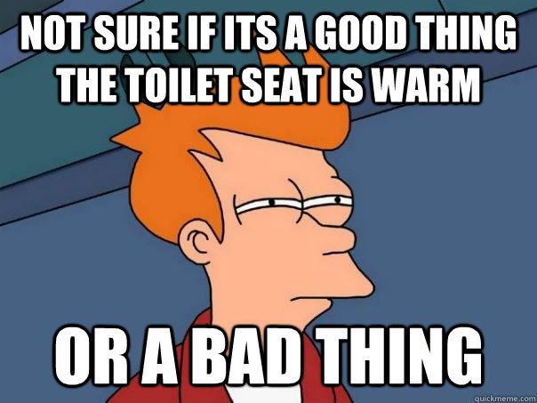 Not sure if its a good thing the toilet seat is warm Or a bad thing  Futurama Fry