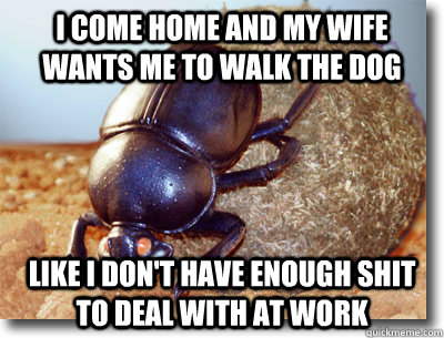 I come home and my wife wants me to walk the dog Like I don't have enough shit to deal with at work  