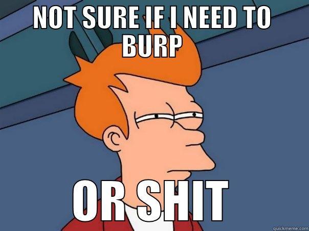 NOT SURE IF I NEED TO BURP OR SHIT Futurama Fry