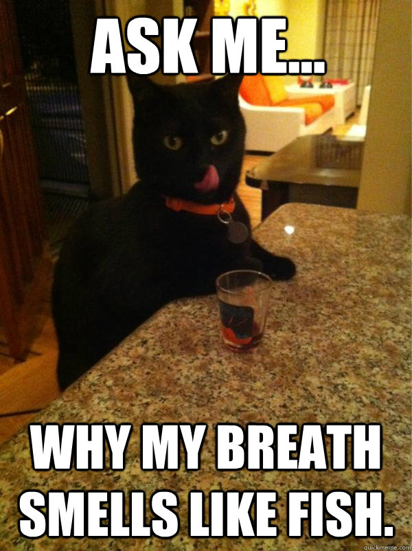 Ask me... why my breath smells like fish.  - Ask me... why my breath smells like fish.   Sleazy Cat