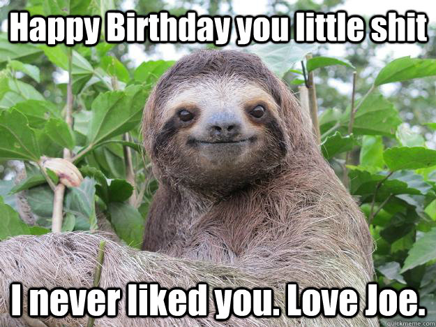 Happy Birthday you little shit I never liked you. Love Joe.  Stoned Sloth