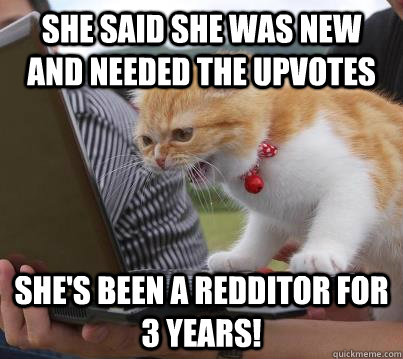 Angry Reddit Cat Memes Quickmeme