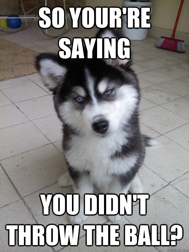 So Your're saying you didn't throw the ball?  Skeptical Dog