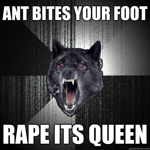 ant bites your foot rape its queen  Insanity Wolf