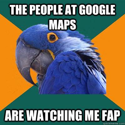 The people at google maps are watching me fap  Paranoid Parrot