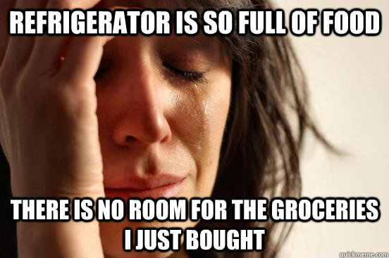 refrigerator is so full of food there is no room for the groceries I just bought  First World Problems