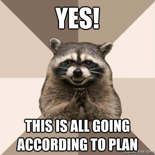 YES! THIS IS ALL GOING ACCORDING TO PLAN - YES! THIS IS ALL GOING ACCORDING TO PLAN  DLI real Scheming raccoons
