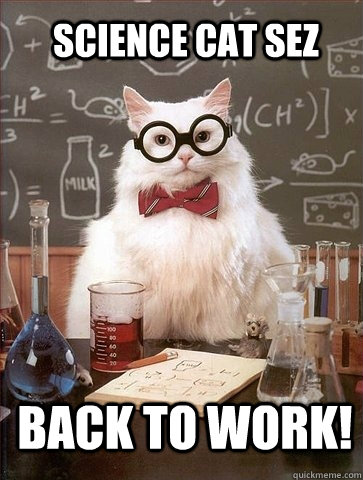 Science cat sez Back to work!   Chemistry Cat