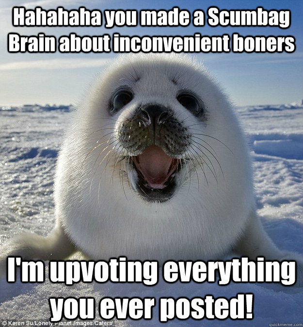 Hahahaha you made a Scumbag Brain about inconvenient boners I'm upvoting everything you ever posted!  Easily Pleased Seal