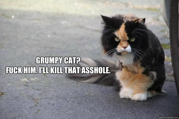 Grumpy Cat?
Fuck him. I'll kill that asshole.  Angry Cat