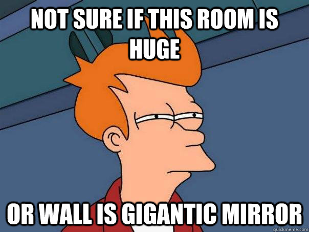 not sure if this room is huge or wall is gigantic mirror  Futurama Fry