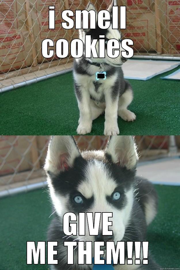 I SMELL COOKIES GIVE ME THEM!!! Insanity puppy