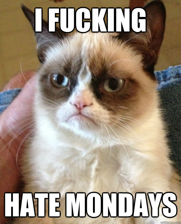 i fucking hate mondays - i fucking hate mondays  Misc