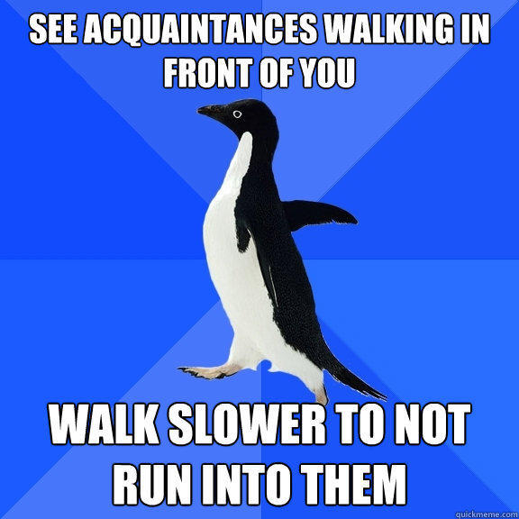 See acquaintances walking in front of you walk slower to not run into them - See acquaintances walking in front of you walk slower to not run into them  Socially Awkward Penguin