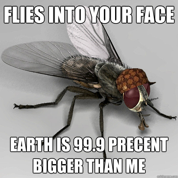 flies into your face earth is 99.9 precent bigger than me - flies into your face earth is 99.9 precent bigger than me  Scumbag Fly