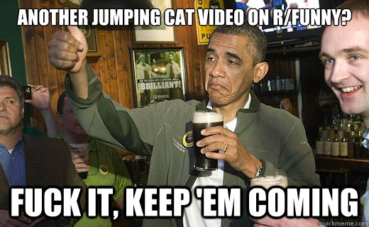 another jumping cat video on r/funny?
 fuck it, keep 'em coming   Drunk Obama