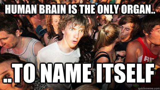 human Brain is the only organ.. ..to name itself  Sudden Clarity Clarence