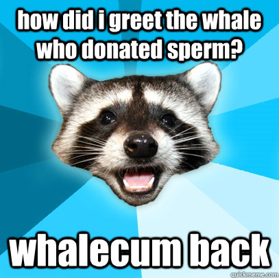how did i greet the whale who donated sperm? whalecum back  Lame Pun Coon