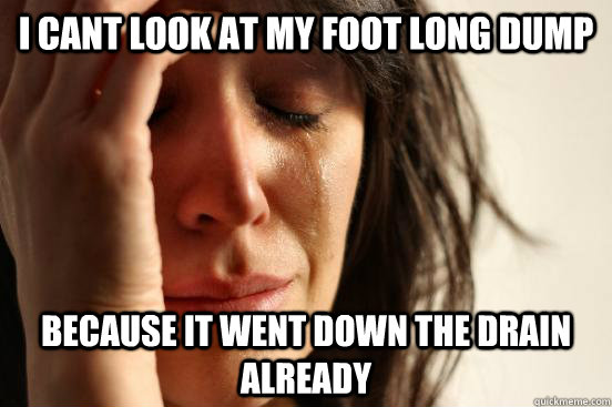 I cant look at my foot long dump Because it went down the drain already  First World Problems